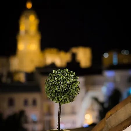 Holidays2malaga Constitucion High Speed Wifi * Málaga